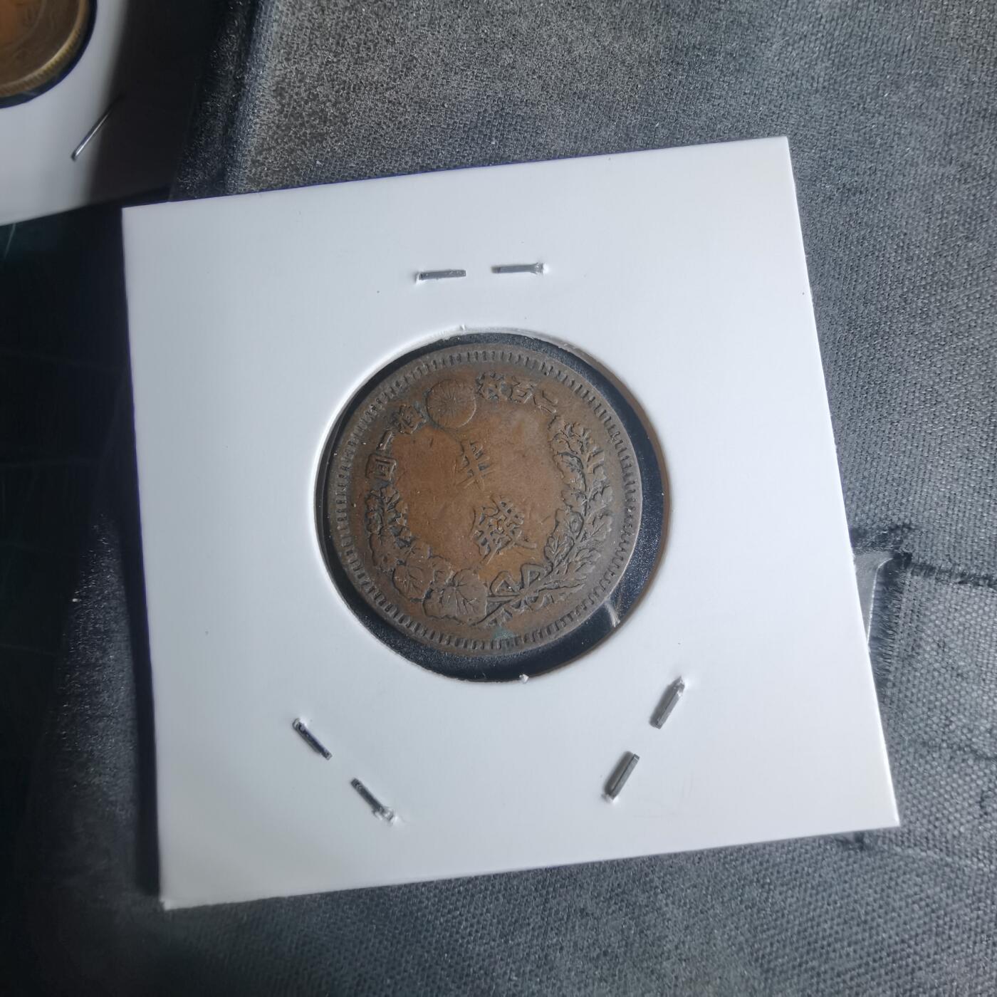 沼泽如烟--第920场