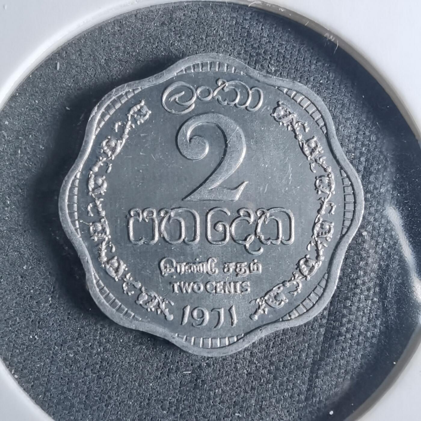 沼泽如烟--第919场