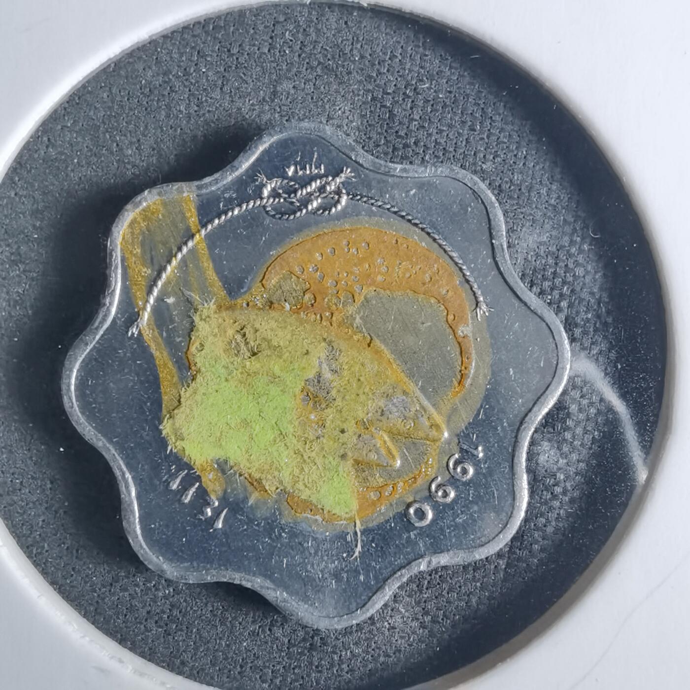 沼泽如烟--第919场