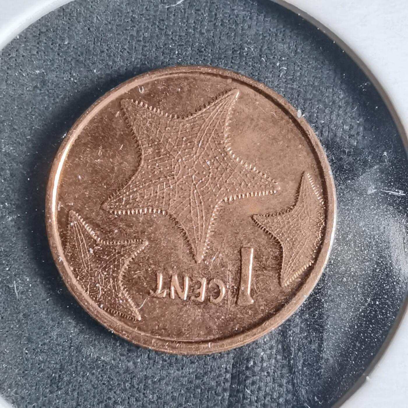 沼泽如烟--第919场