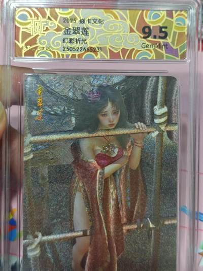 第十五期（周日截拍）惊喜不断看简介 - 2025 焱卡文化金翠莲幻彩折光