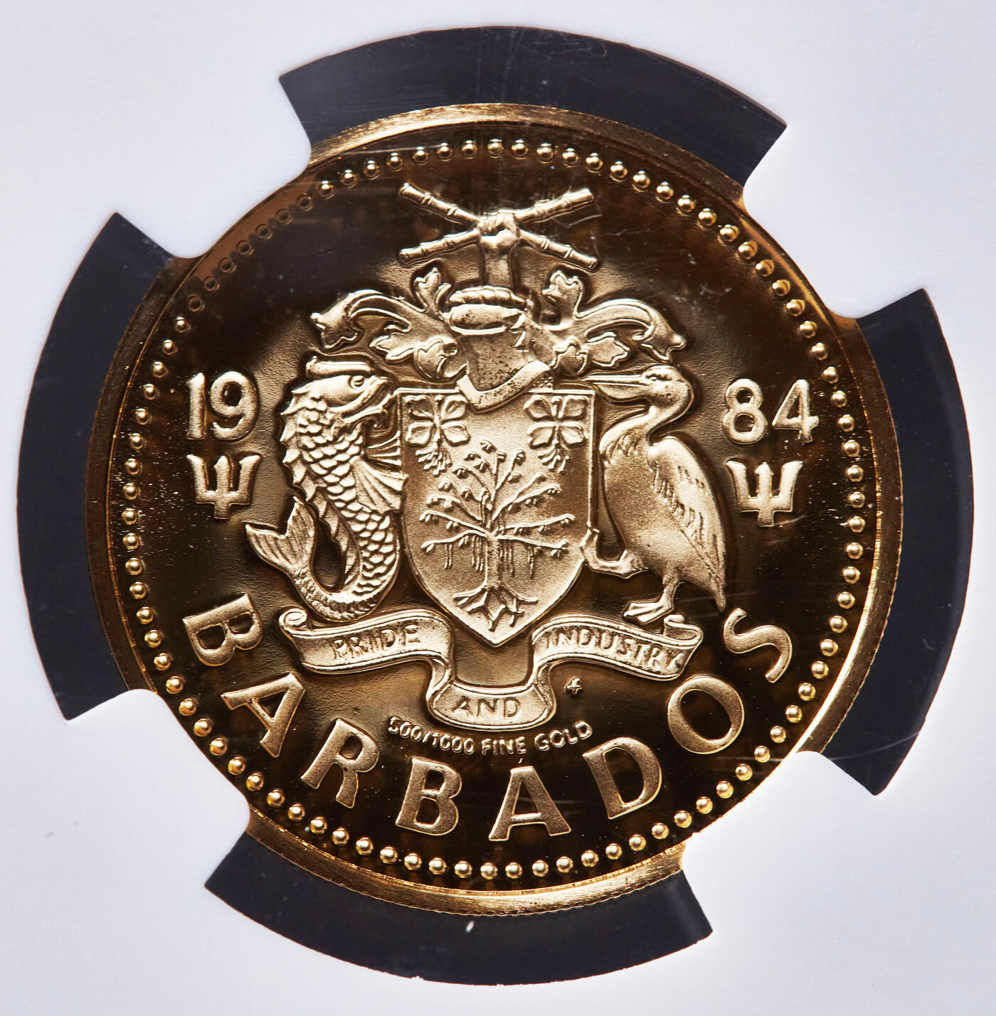 【俄甄集藏】2025年(045)12-03 星期三 晚 19:30 全场包邮 巴巴多斯1984年海神之子100元精制金币，NGC PF70UC，满分难得，重6.21克，50%金，发行量1103枚，富兰克林造币厂出品，稀有品种