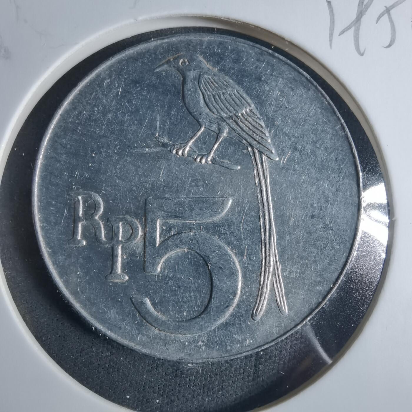 沼泽如烟--第919场