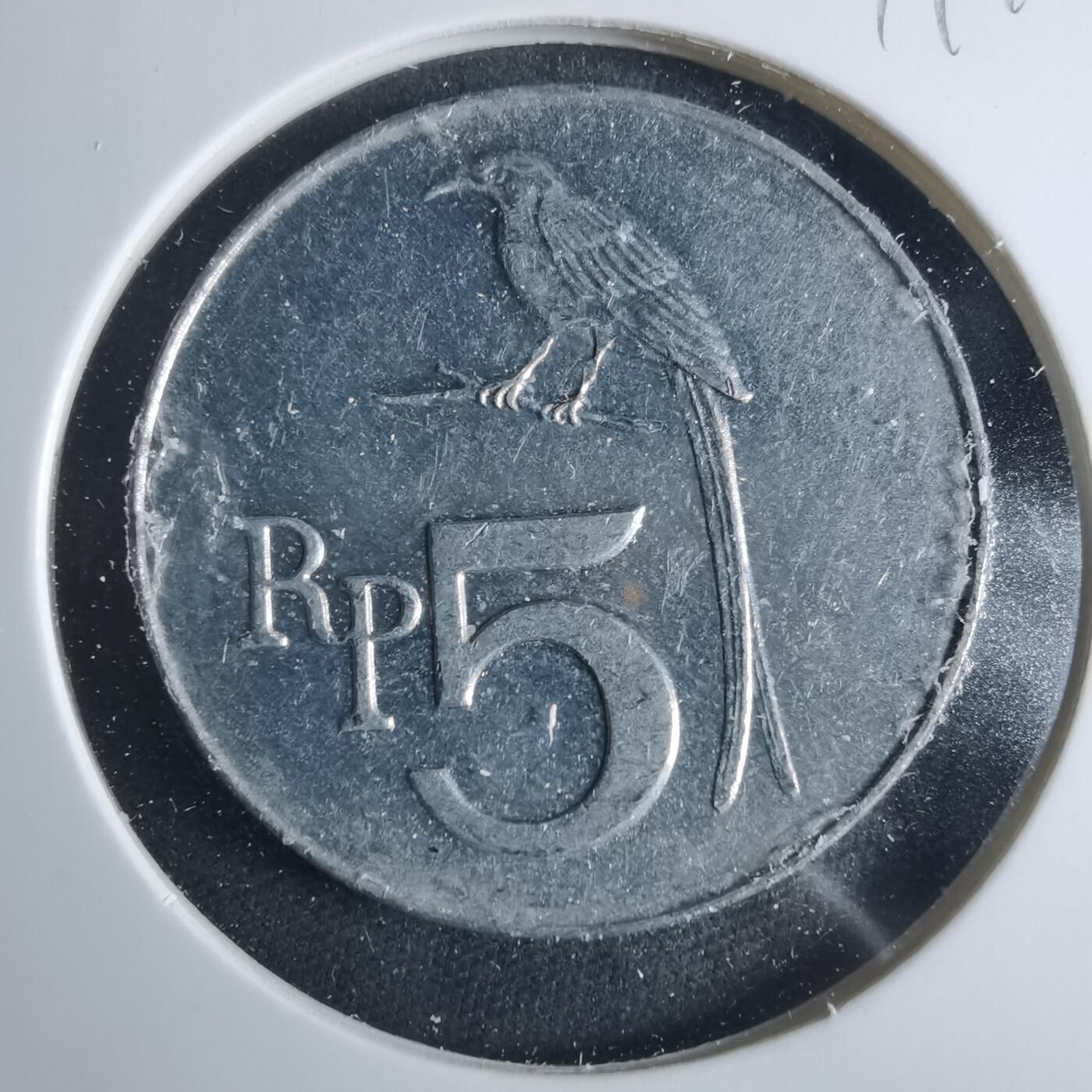 沼泽如烟--第919场