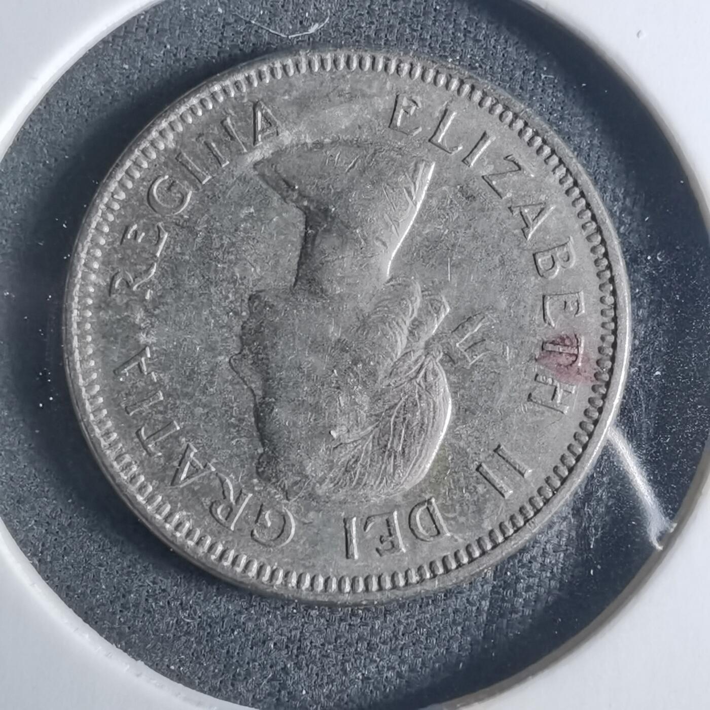 沼泽如烟--第919场