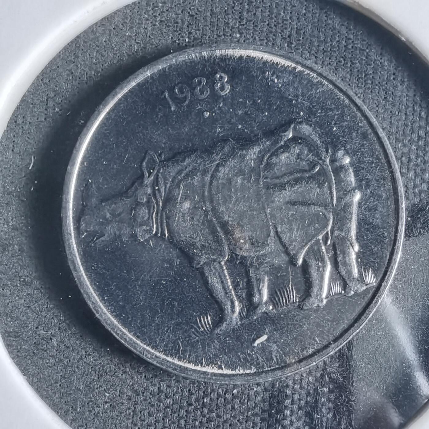 沼泽如烟--第919场