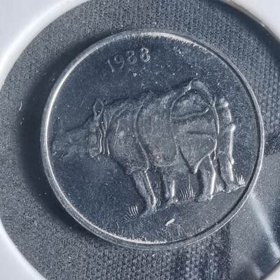 沼泽如烟--第919场 - 印度1988年25派沙