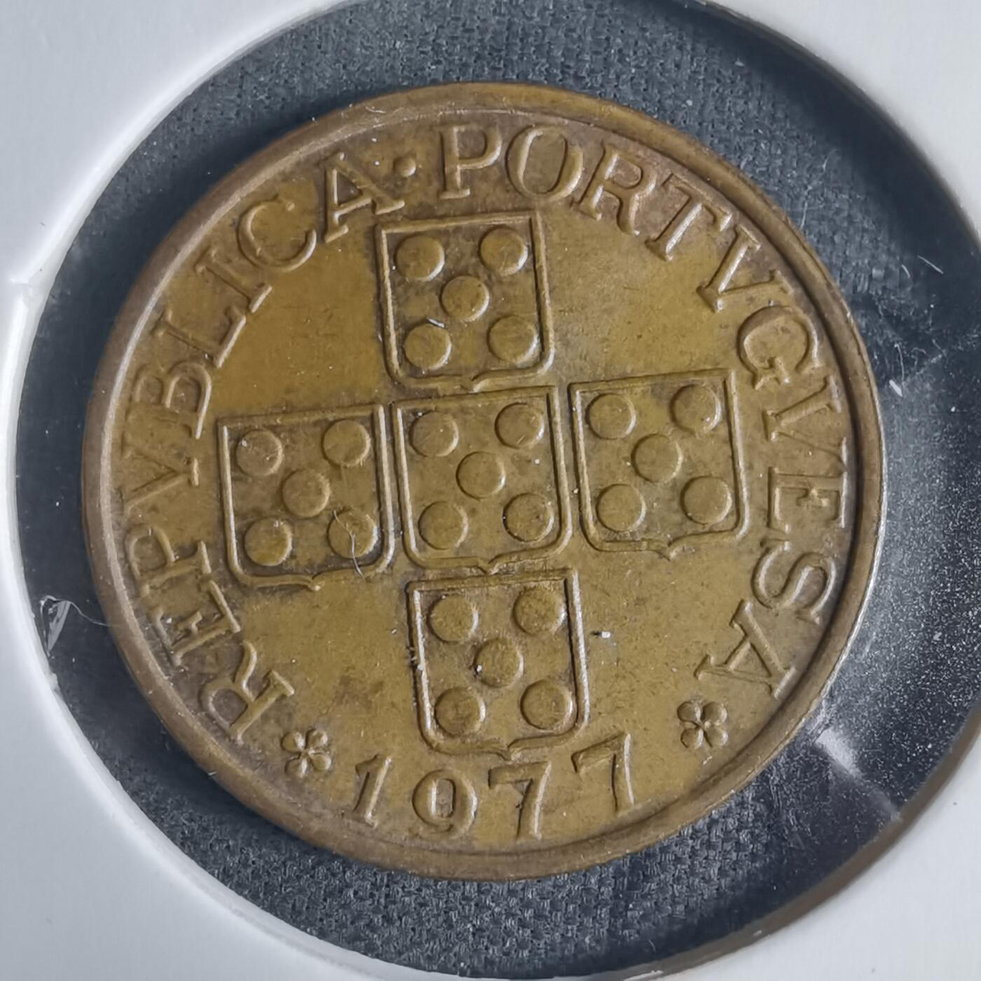 沼泽如烟--第919场