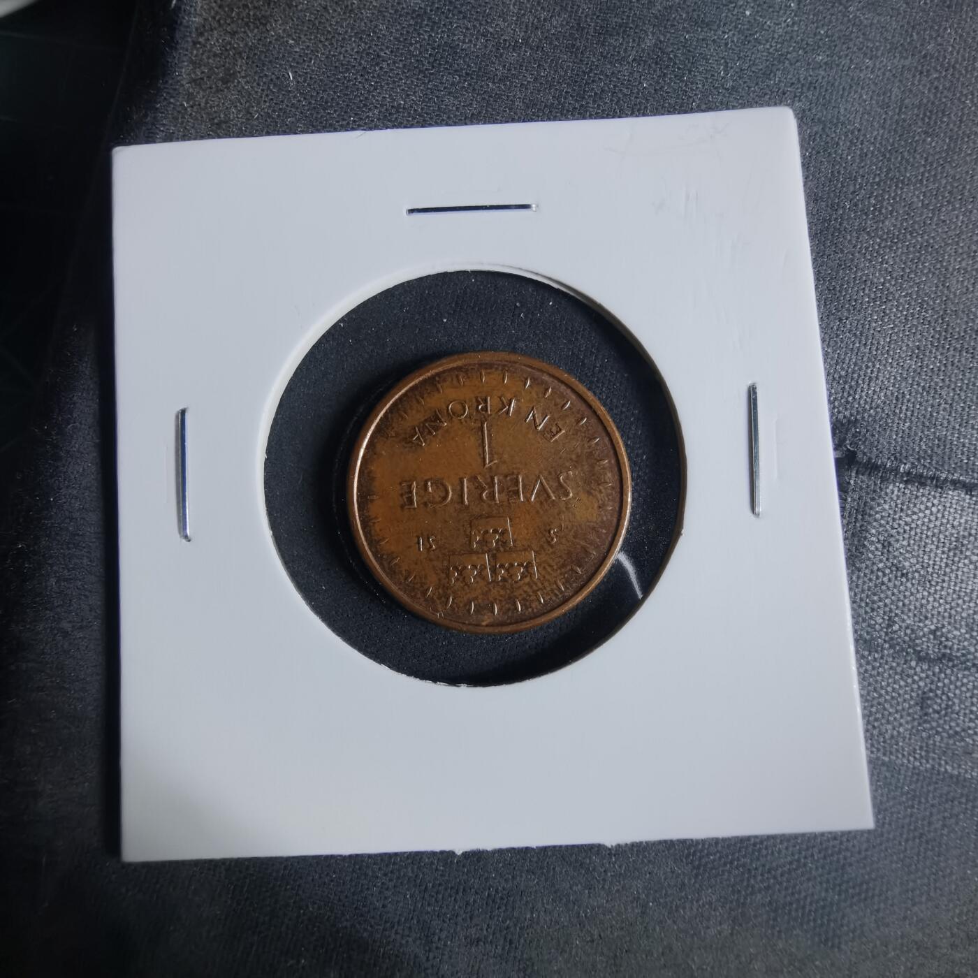 沼泽如烟--第919场