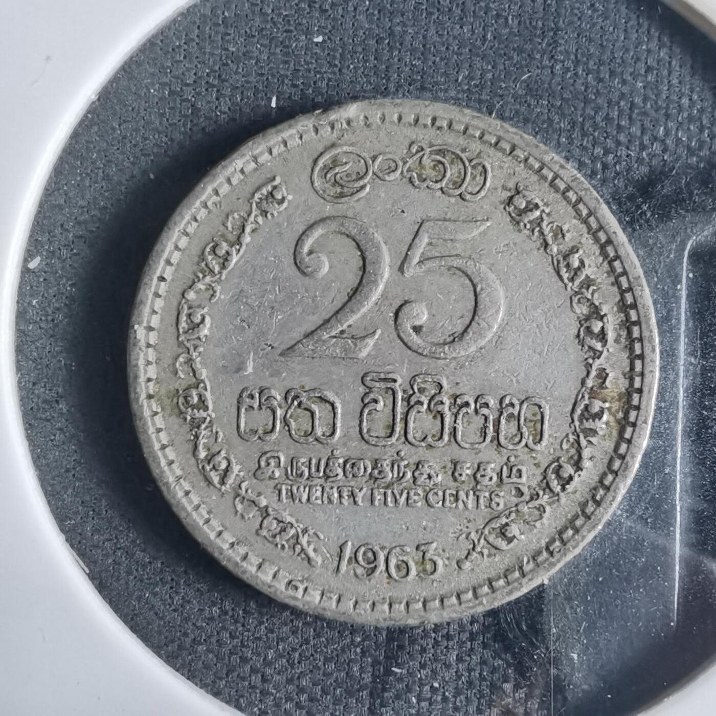 沼泽如烟--第919场