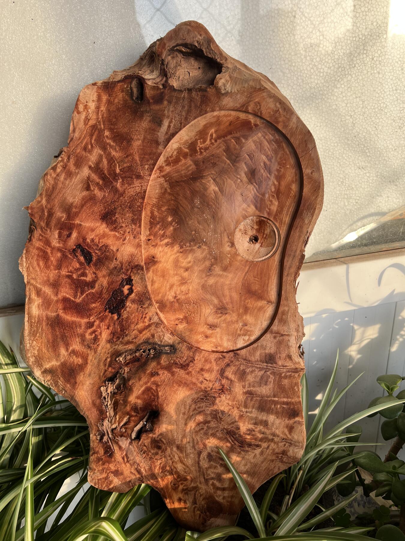 零元拍：香杉木老根榴茶盘，尺寸约：475/280/40MM，满花，药香满鼻，因为没有上漆，干燥天气可能会产生裂纹，属于正常现象