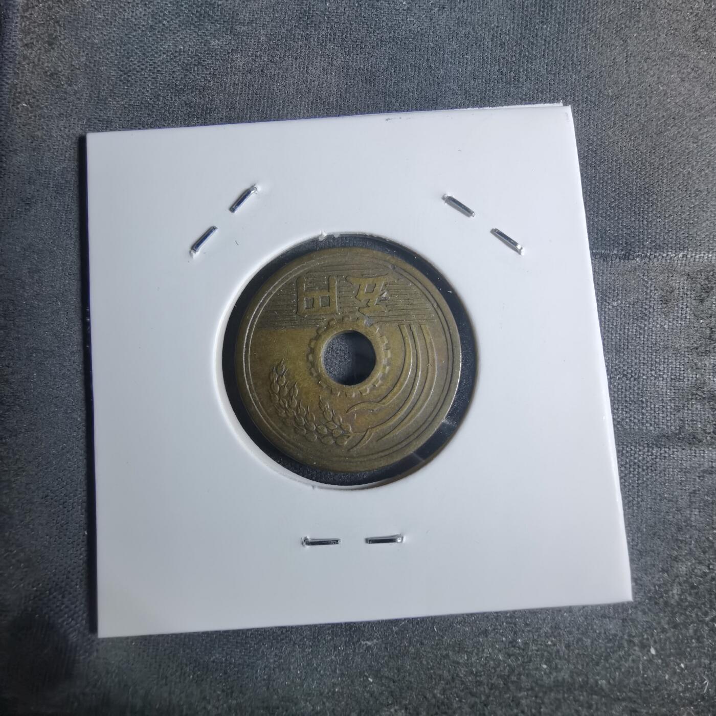 沼泽如烟--第920场