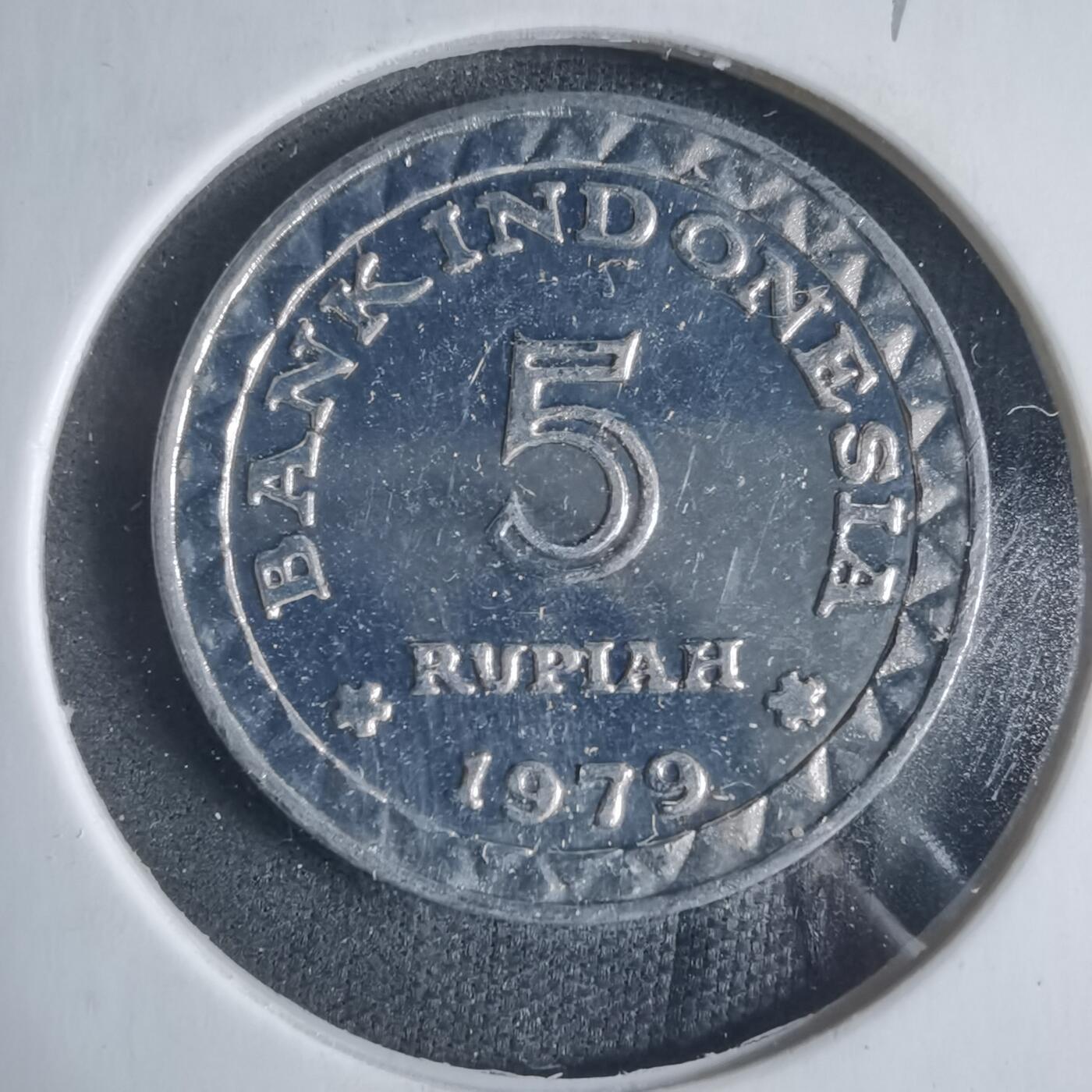 沼泽如烟--第919场