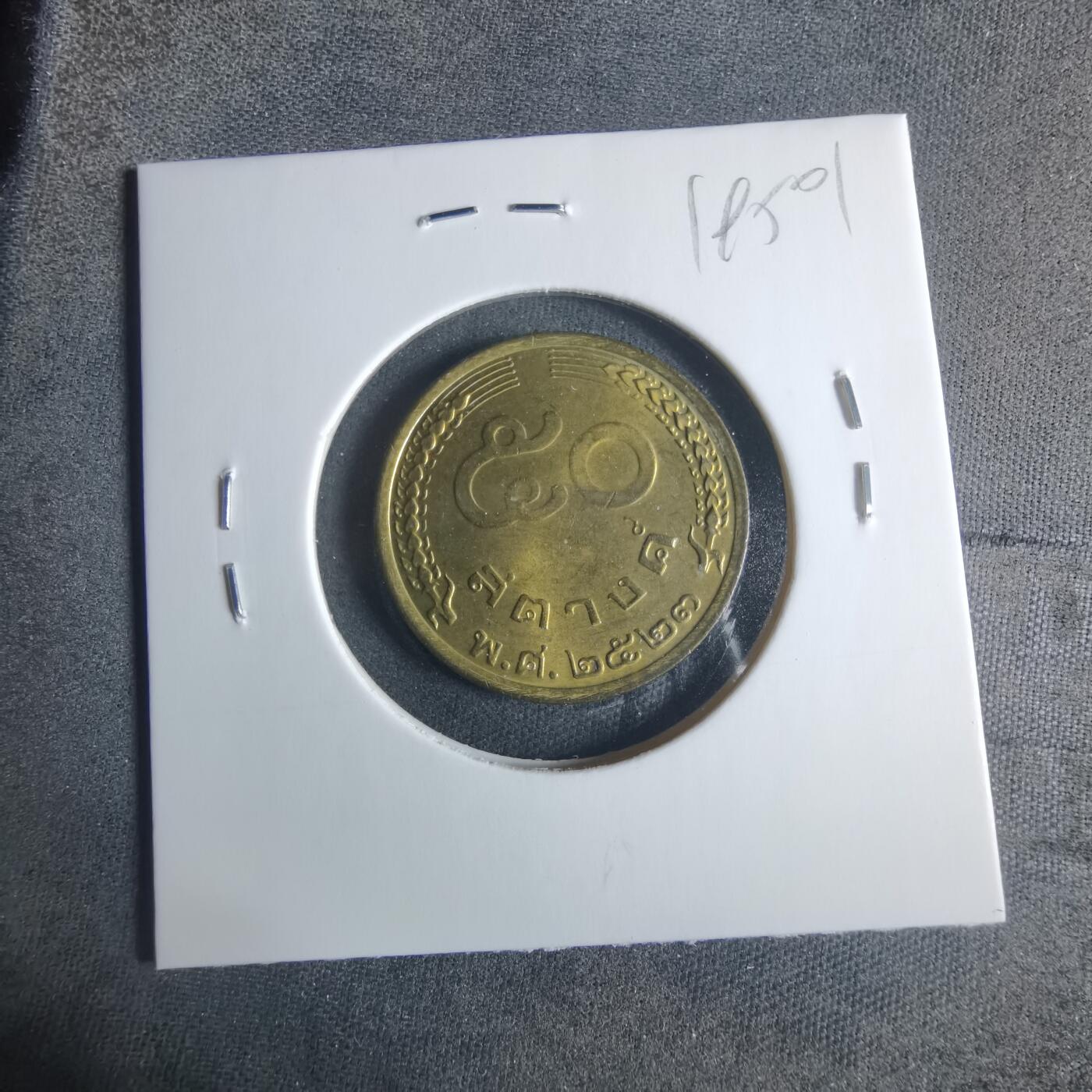 沼泽如烟--第919场 泰国