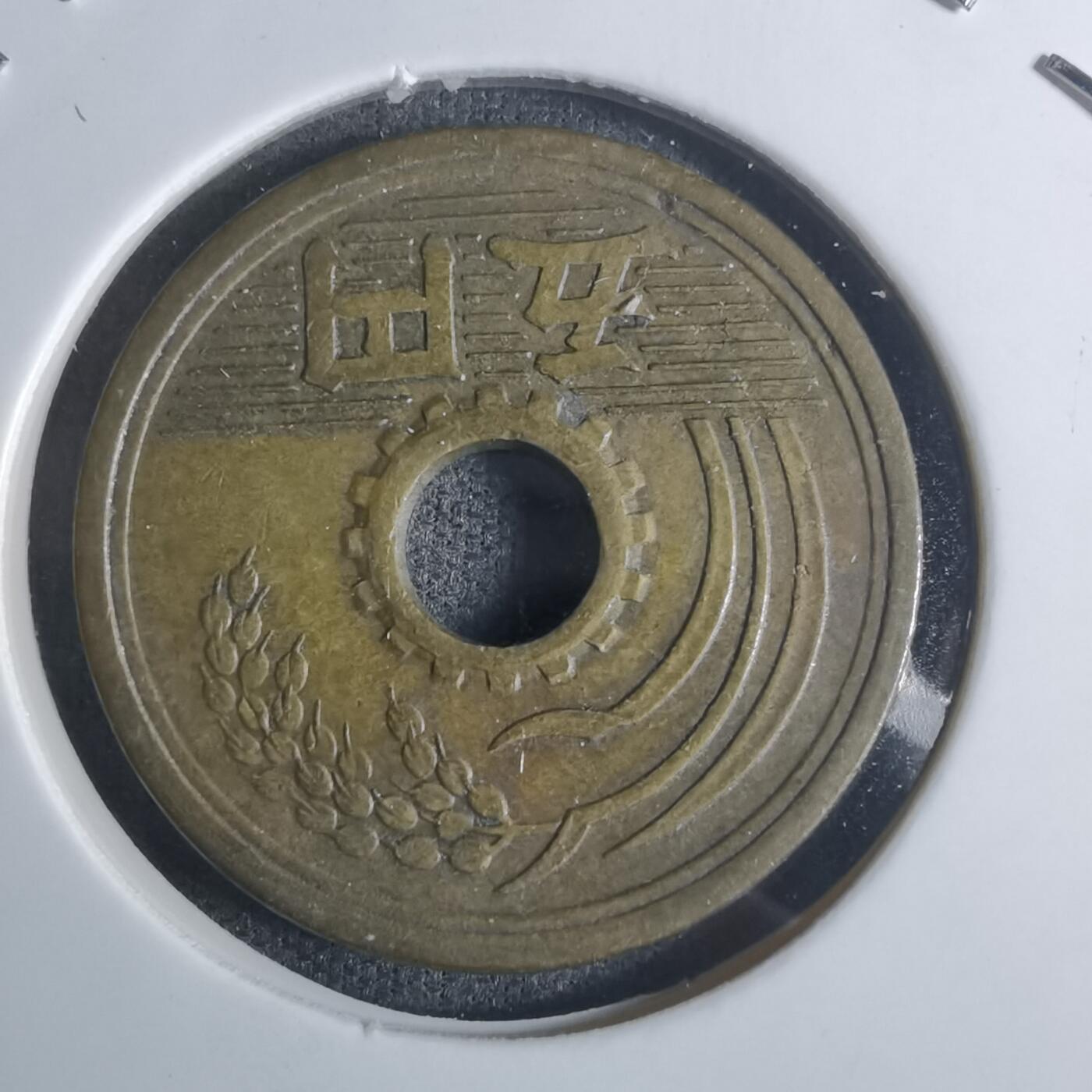 沼泽如烟--第920场