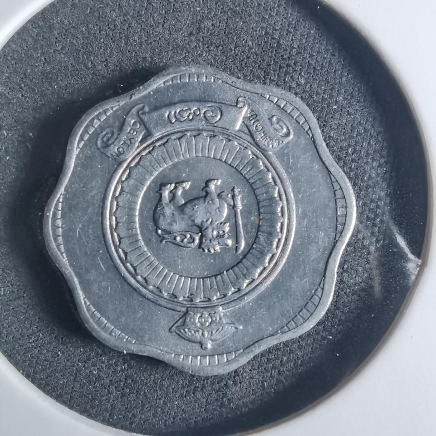 沼泽如烟--第919场