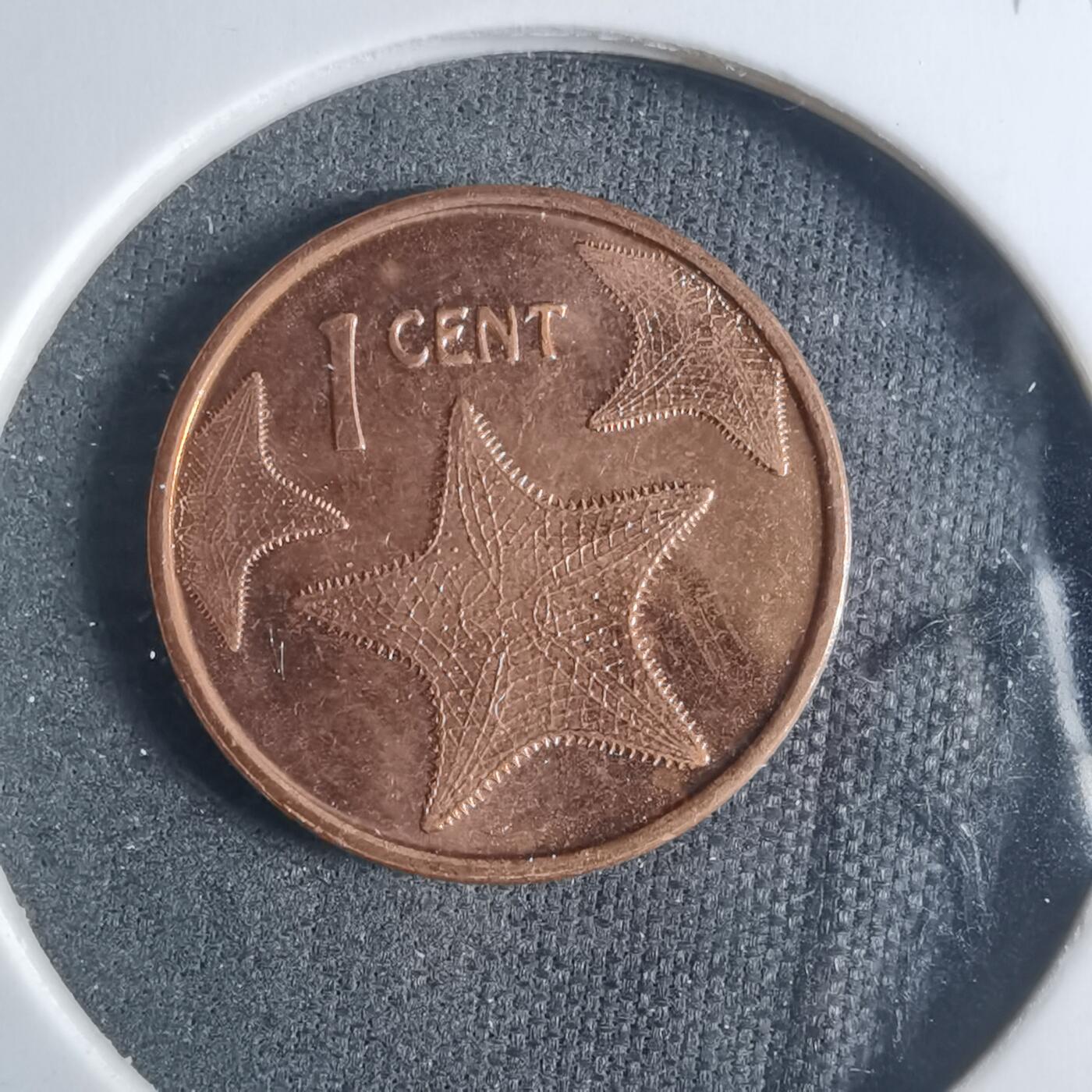 沼泽如烟--第919场