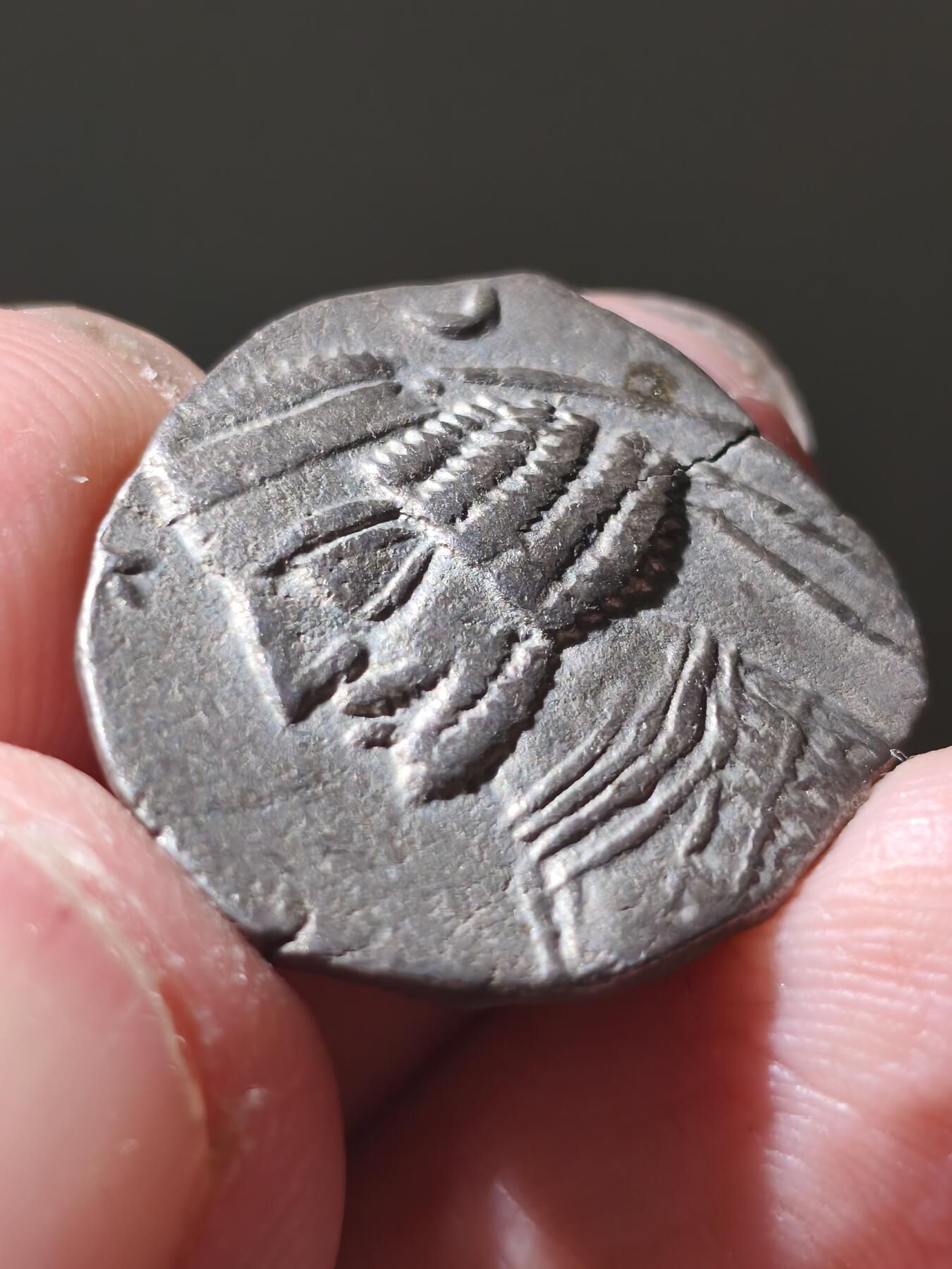 星盘世界钱币十二月六日古典币专场