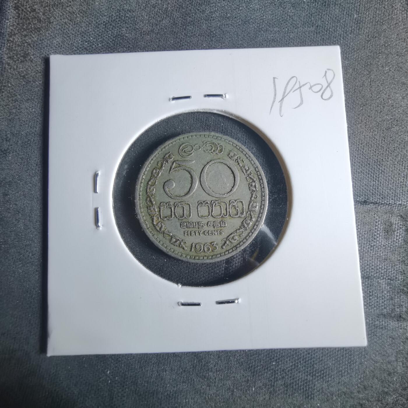 沼泽如烟--第919场