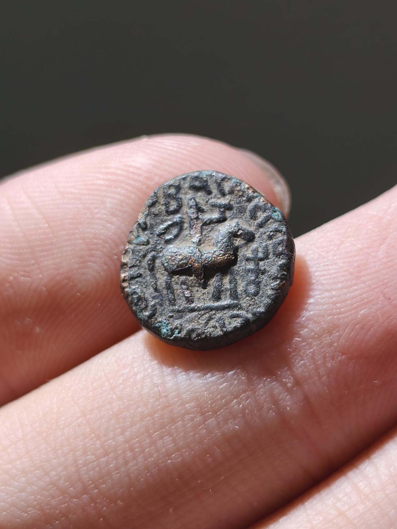 星盘世界钱币十二月六日古典币专场