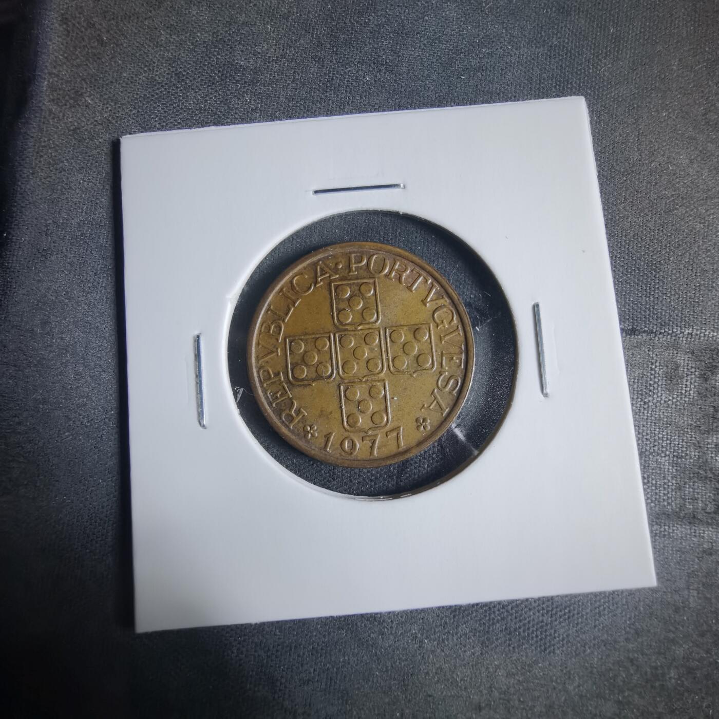 沼泽如烟--第919场