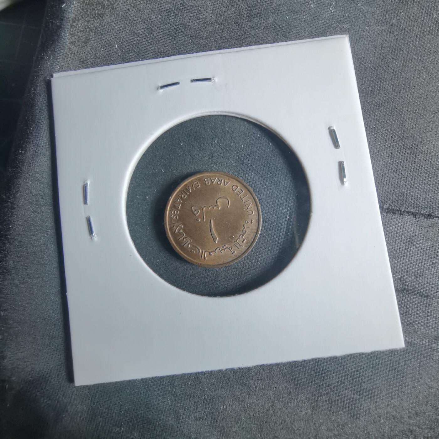 沼泽如烟--第919场