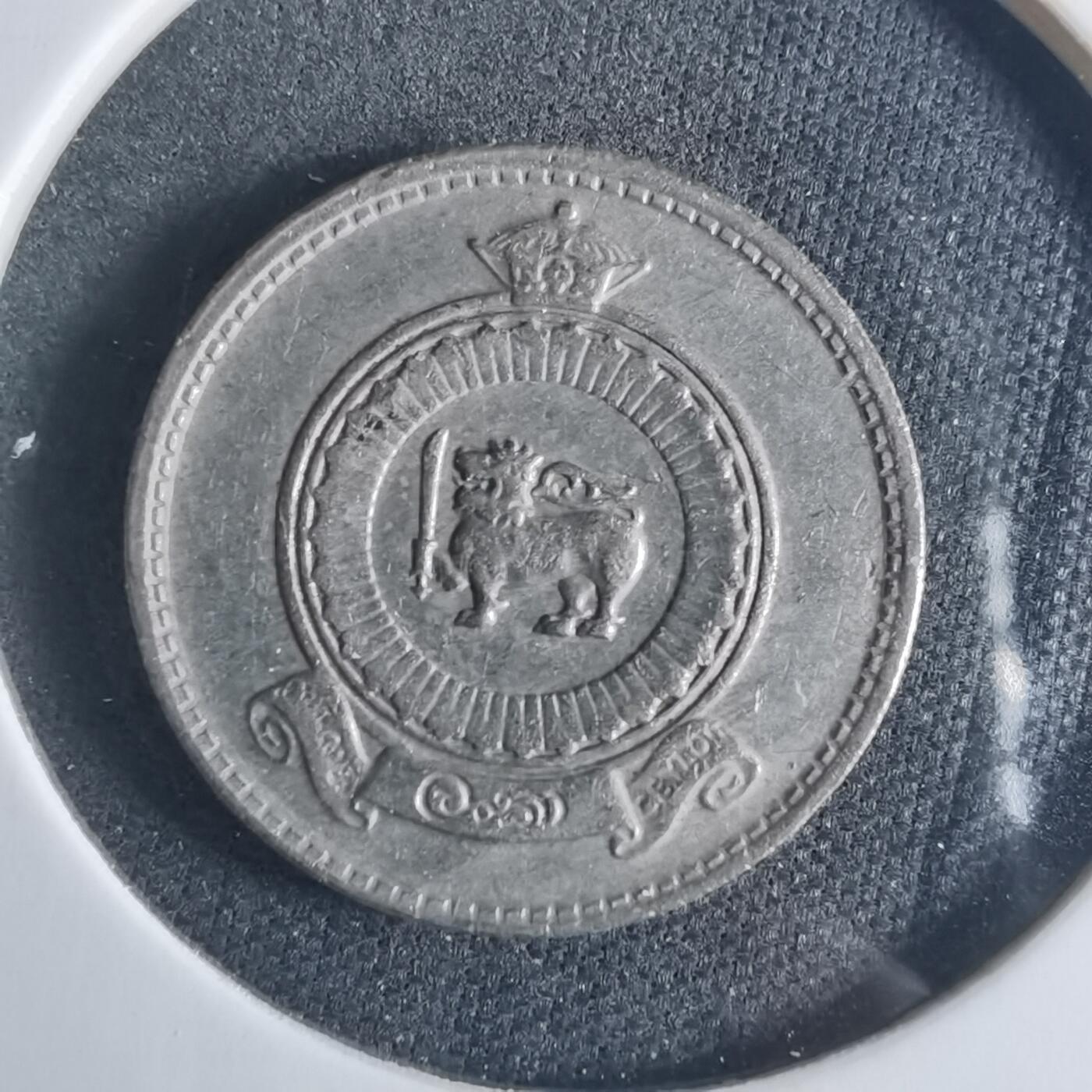 沼泽如烟--第919场