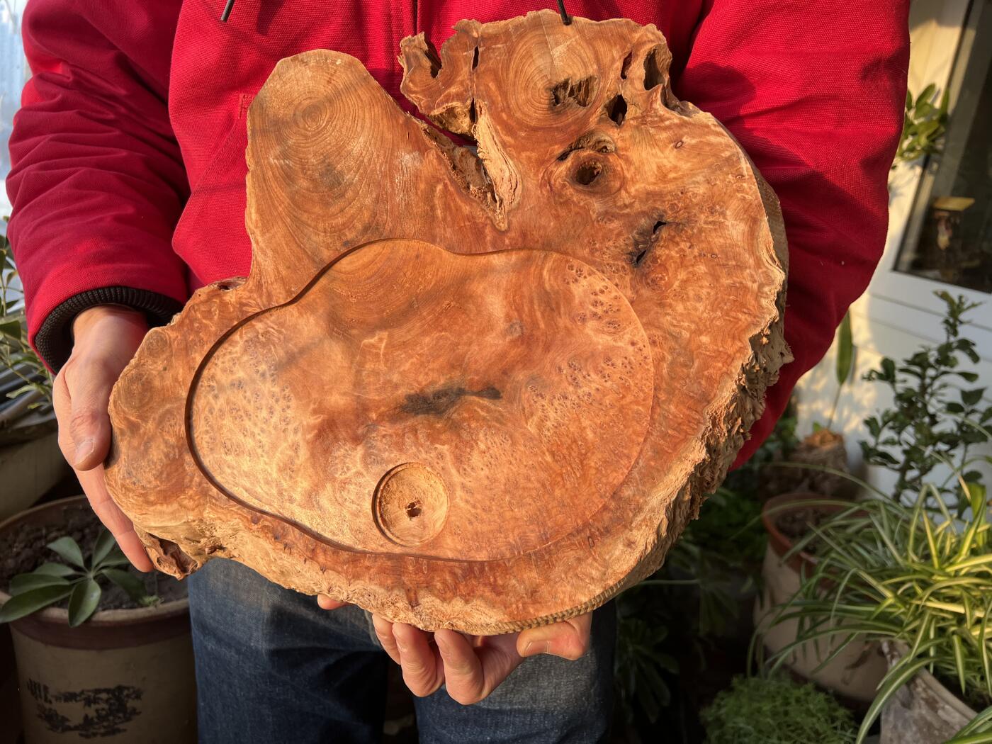 零元拍：香杉木老根榴茶盘，尺寸约：390/340/35MM，满花，药香满鼻，因为没有上漆，干燥天气可能会产生裂纹，属于正常现象