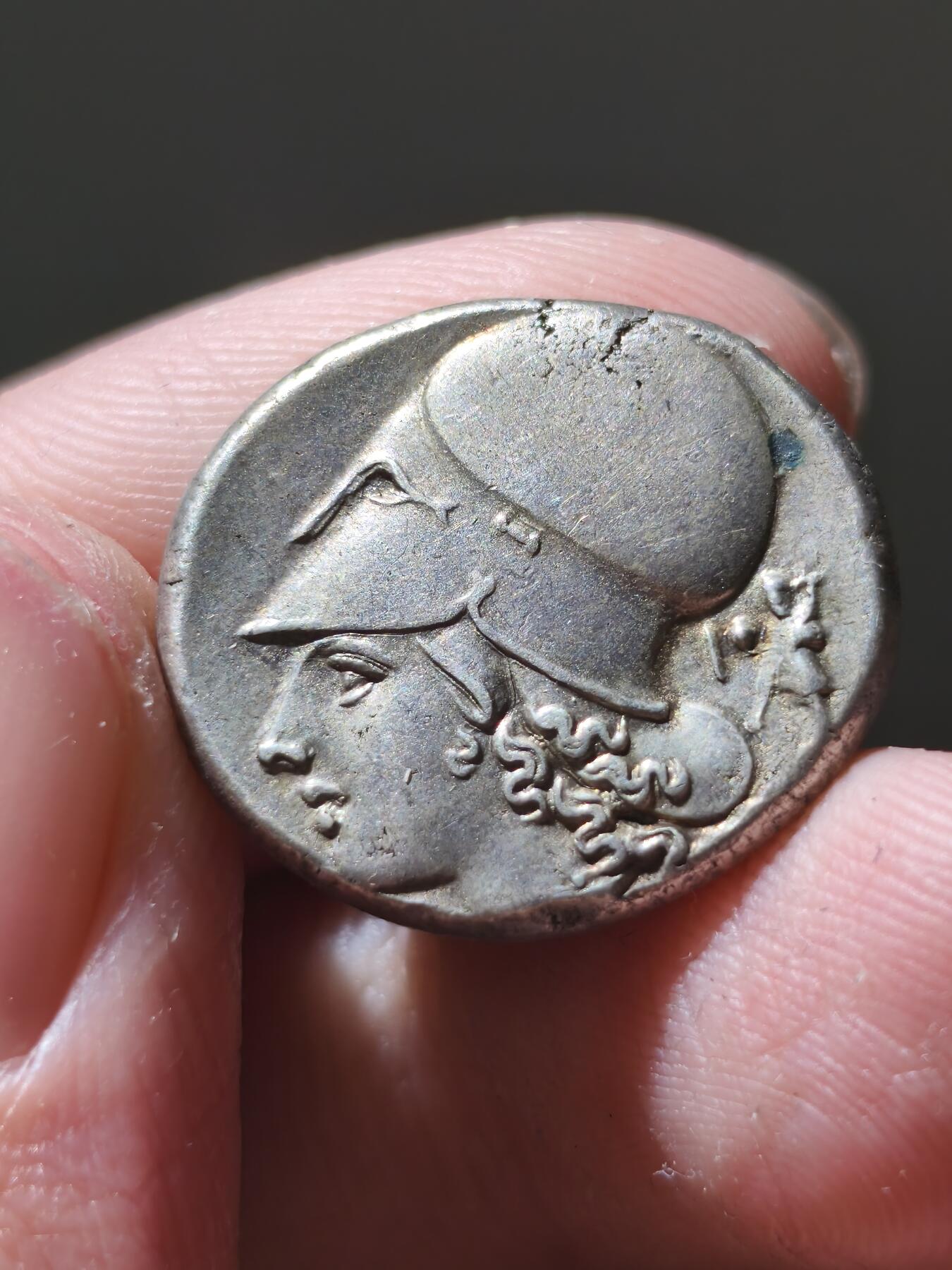 星盘世界钱币十二月六日古典币专场