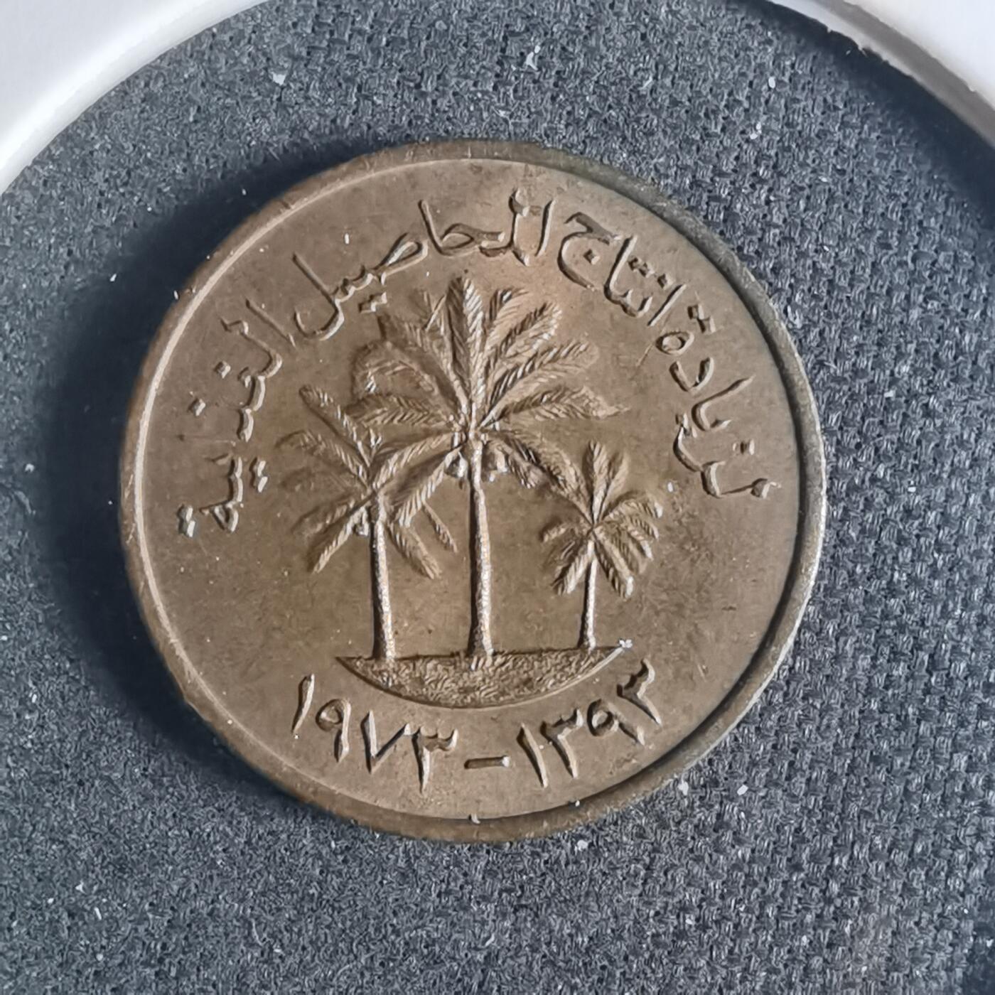 沼泽如烟--第919场