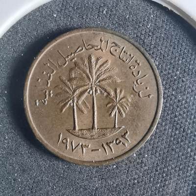 沼泽如烟--第919场 - 阿联酋