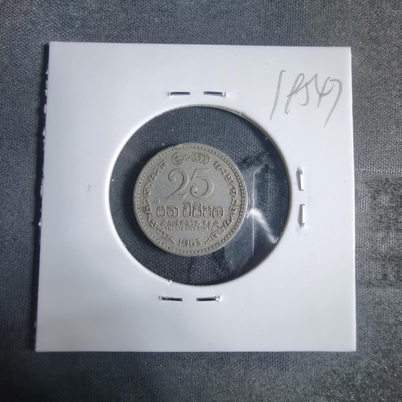 沼泽如烟--第919场