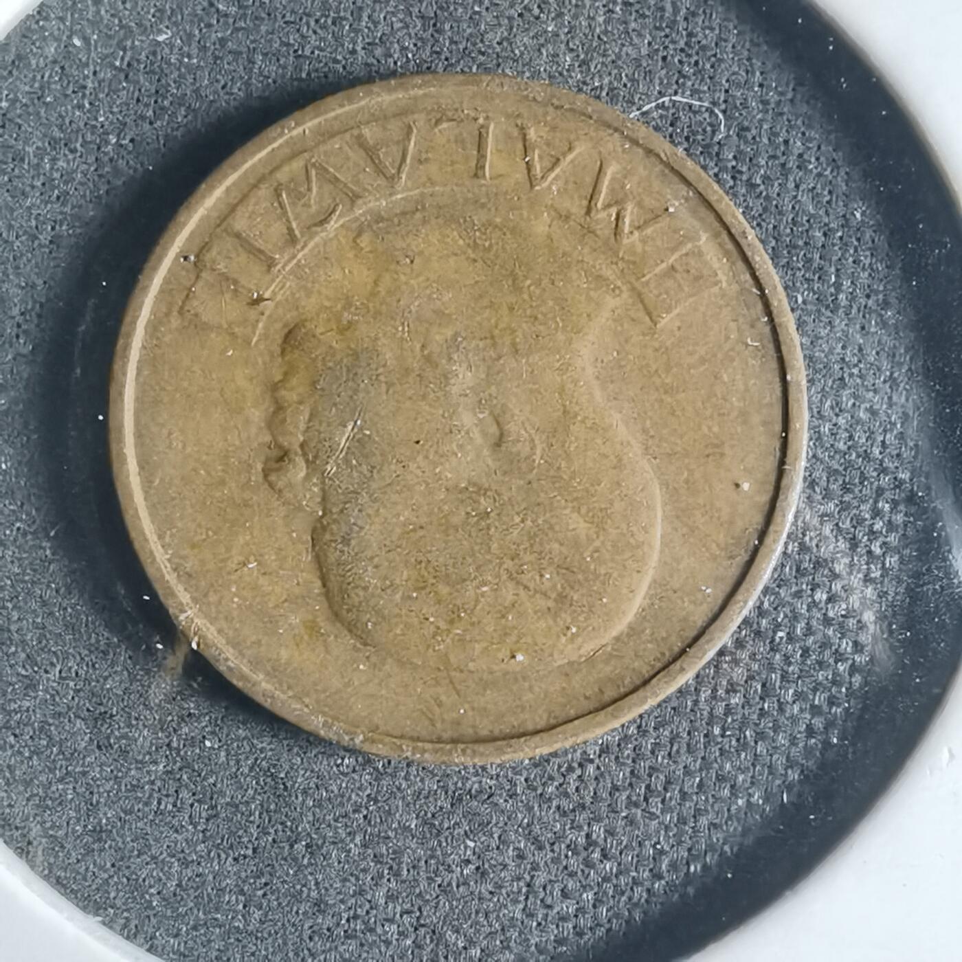 沼泽如烟--第919场