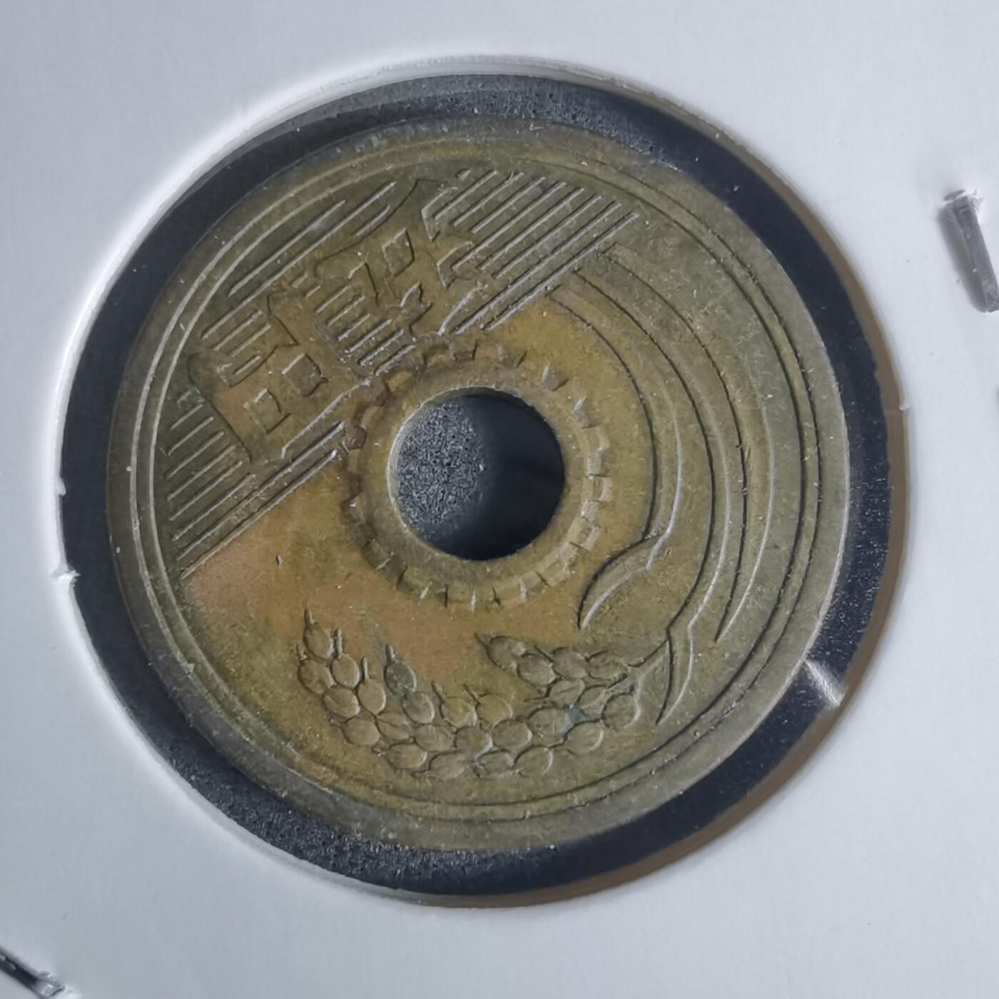 沼泽如烟--第920场