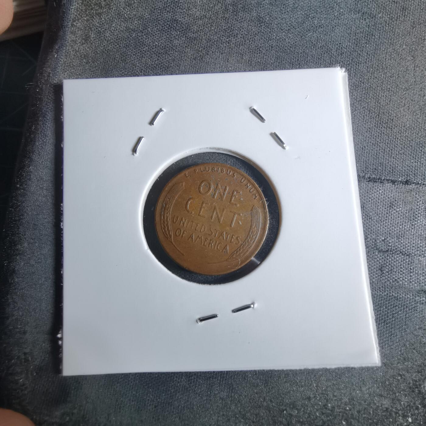 沼泽如烟--第922场