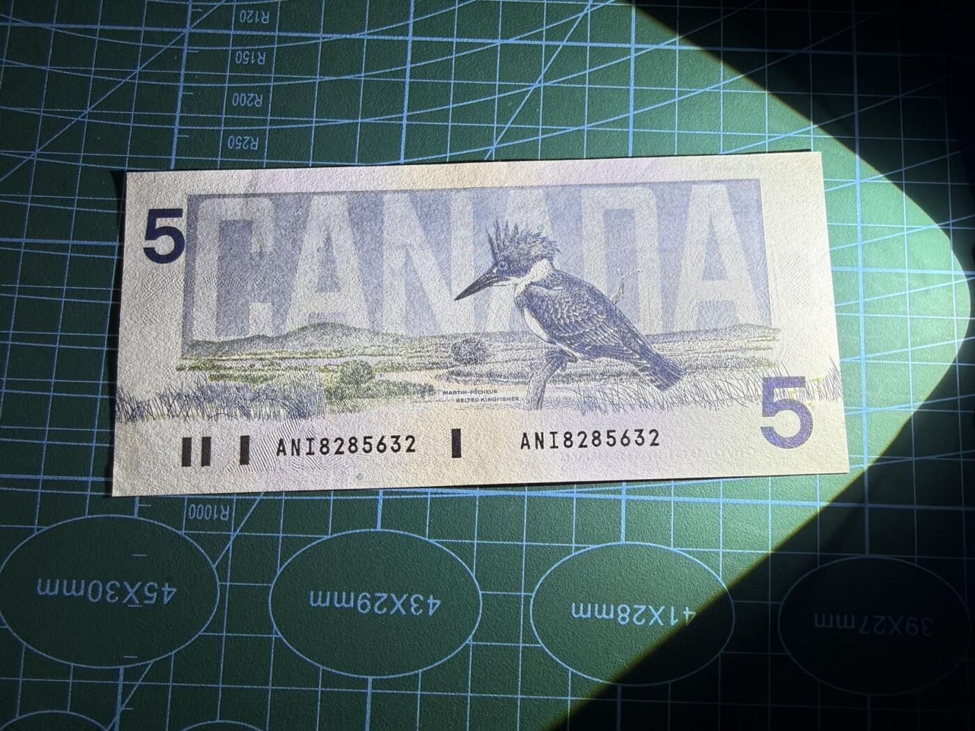 【炜奕收藏】，第五十二期 1986年加拿大5元，UNC-品相，有潮斑