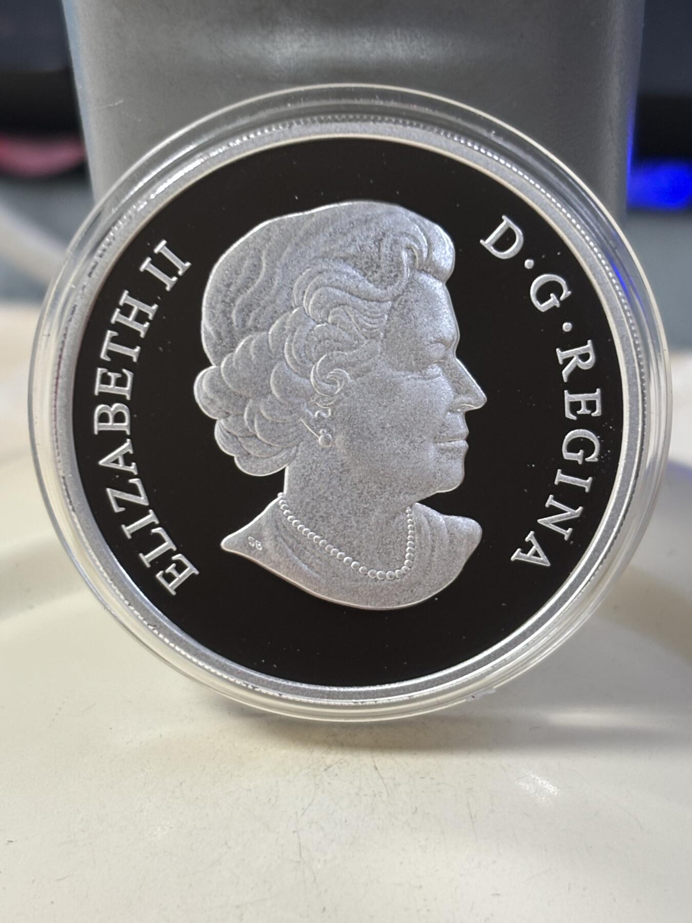 第184期拍卖 加拿大2010年中国生肖系列虎年圆形本色纪念银币，9999银，31.39克，发行9999枚