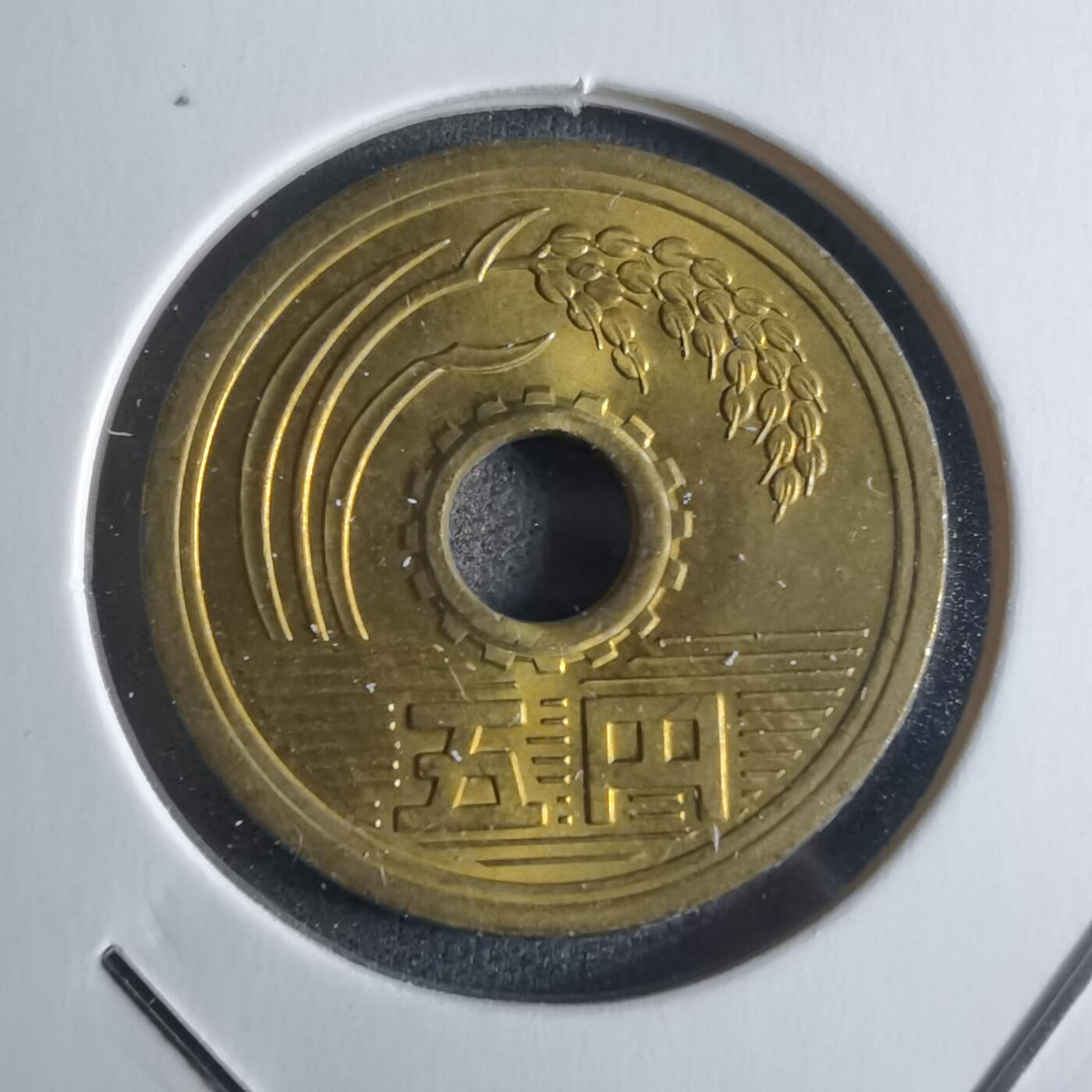 沼泽如烟--第922场