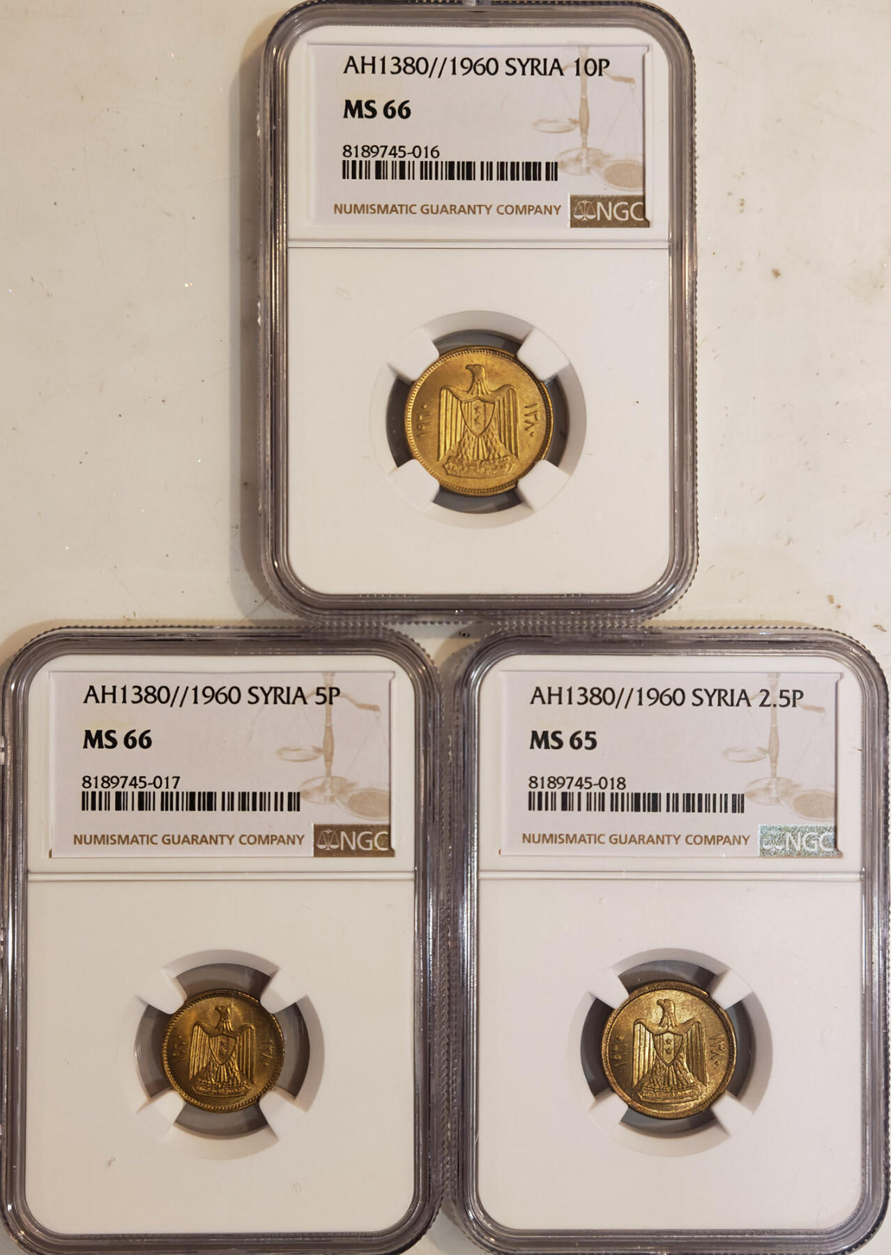 NGC-MS66/65 1960叙利亚阿联铜币三枚顶级品