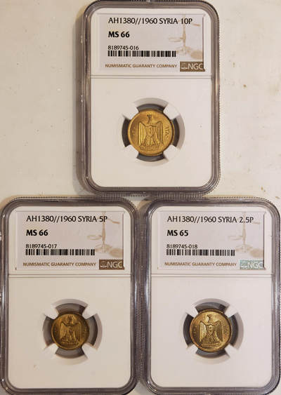NGC-MS66/65 1960叙利亚阿联铜币三枚顶级品 - NGC-MS66/65 1960叙利亚阿联铜币三枚顶级品