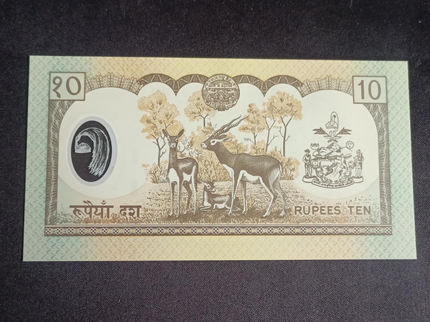 【游宝拍卖】乙巳蛇年91期 第四季首拍场  尼泊尔-10卢比【塑料钞 贾南德拉登基版 全新UNC】