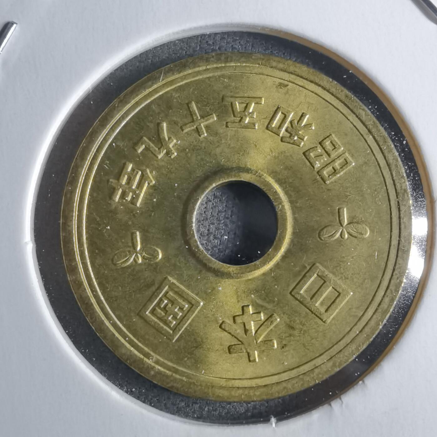 沼泽如烟--第922场