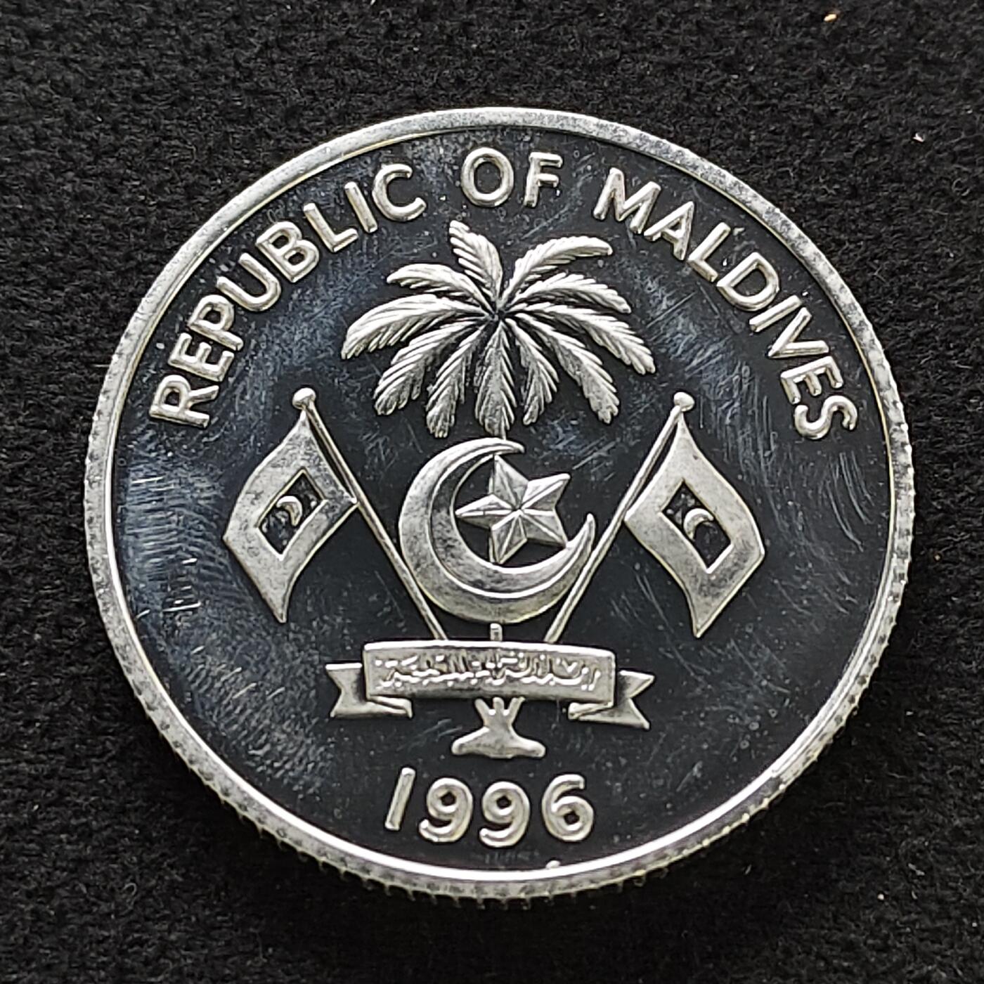 【全场包邮】纯粹捡漏拍483场（免费代拍第20场）