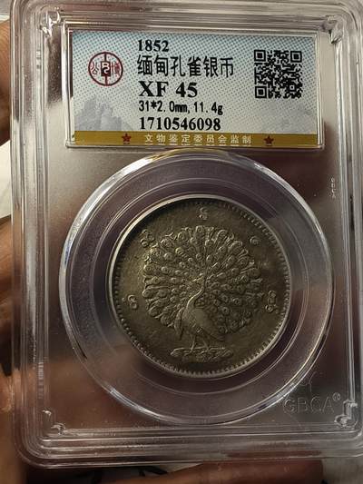 老银元专场（本场拍品丰富，两位宝主提供） - 孔雀银币，公博评级45分