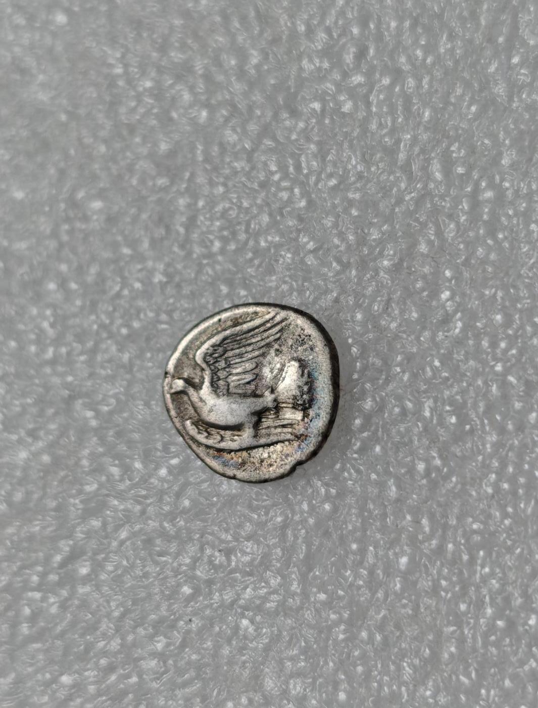 瓶子🏺第219期拍卖会  古希腊币鸽子银币伯罗奔尼撒银币喷火怪物奇美拉银币 公元前350-前320年伯罗奔尼撒半岛西锡安城发行  正面狮子头羊身体蛇尾巴的吐火怪物奇美拉  背面一只鸽子向左飞翔