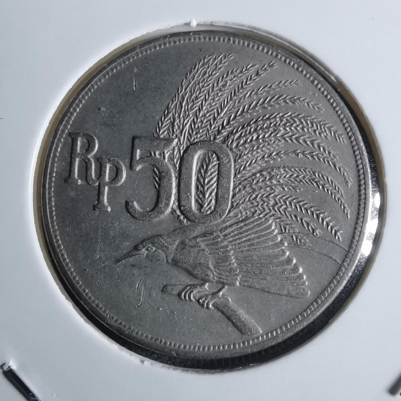 沼泽如烟--第922场