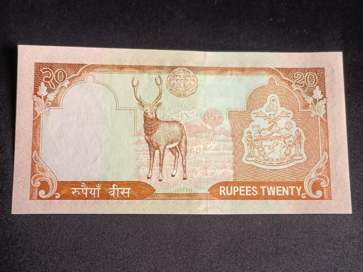 【游宝拍卖】乙巳蛇年91期 第四季首拍场 