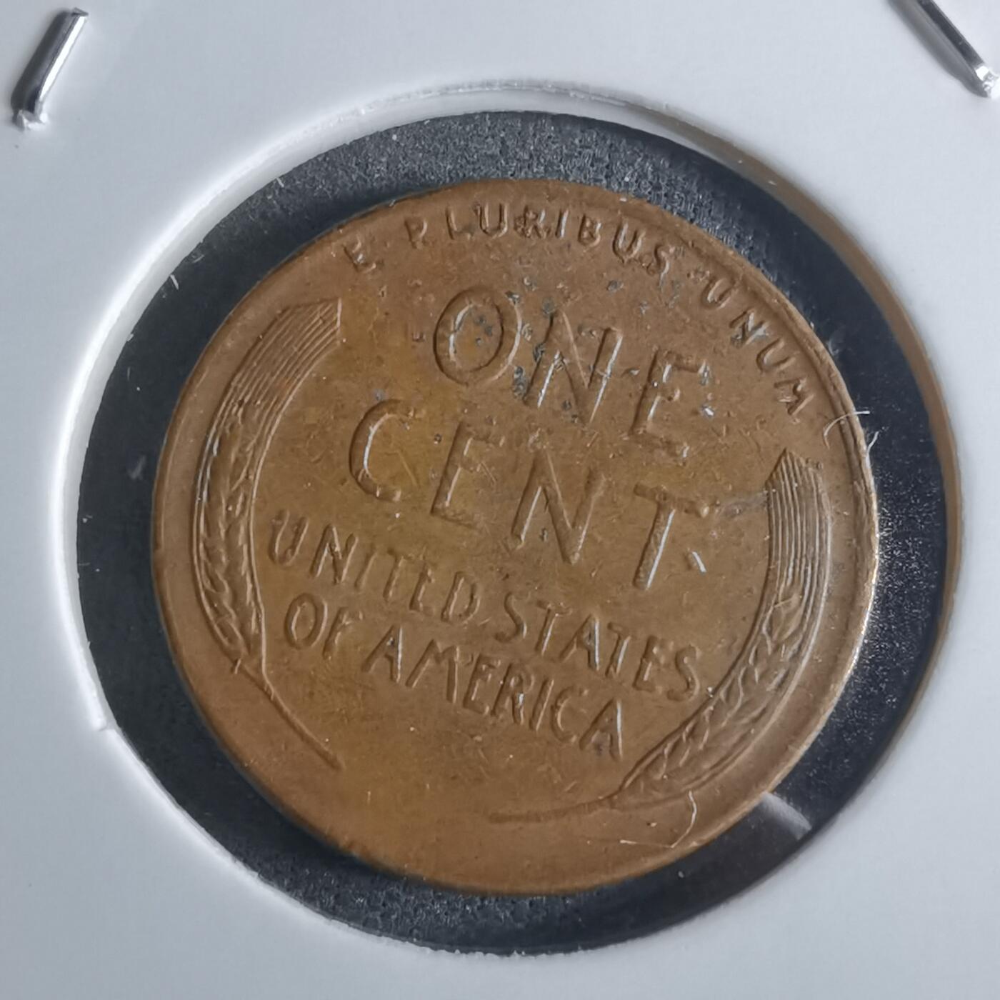 沼泽如烟--第922场