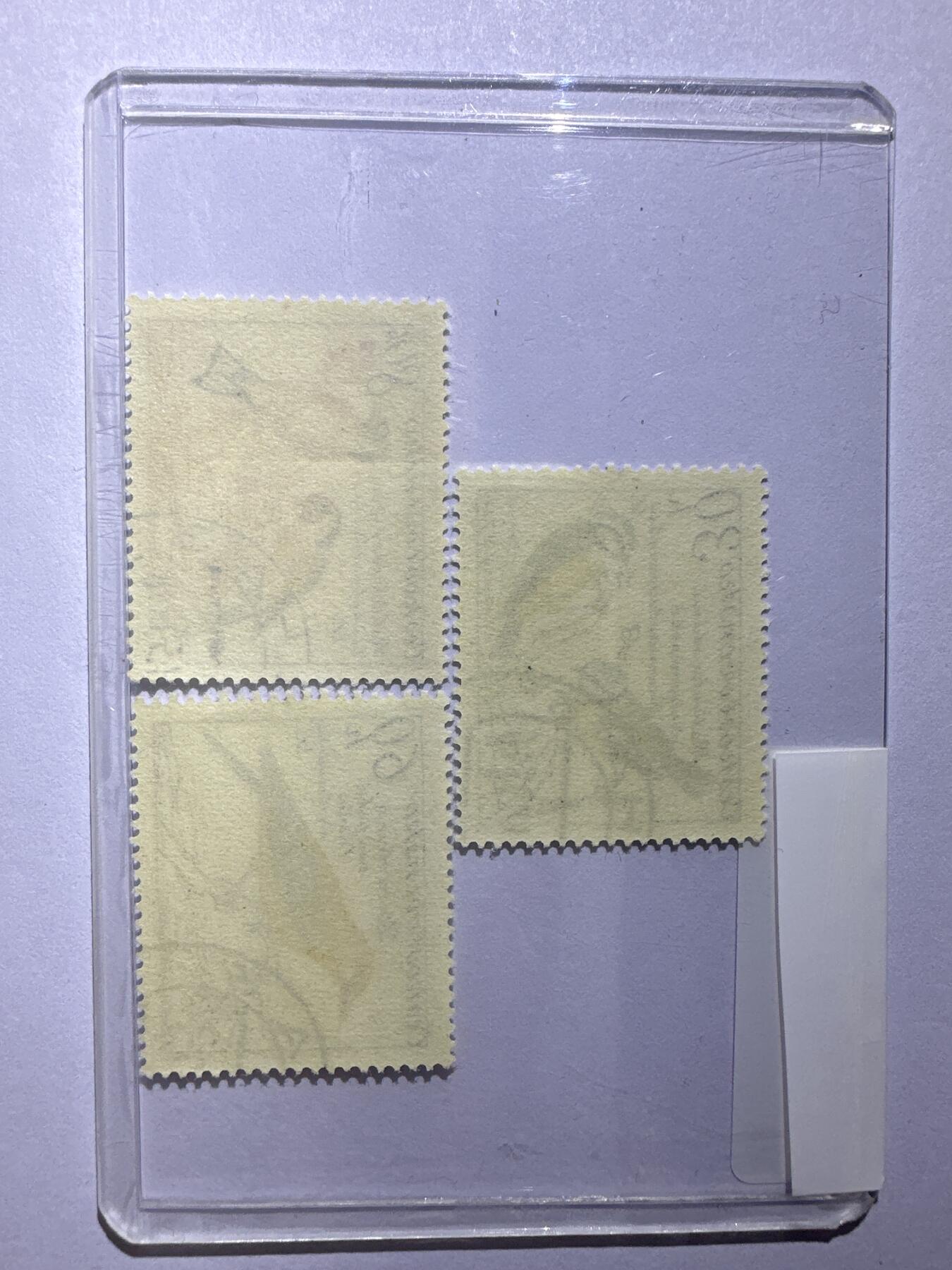 12.6邮票专场 捷克斯洛伐克欧洲鸟类系列3枚