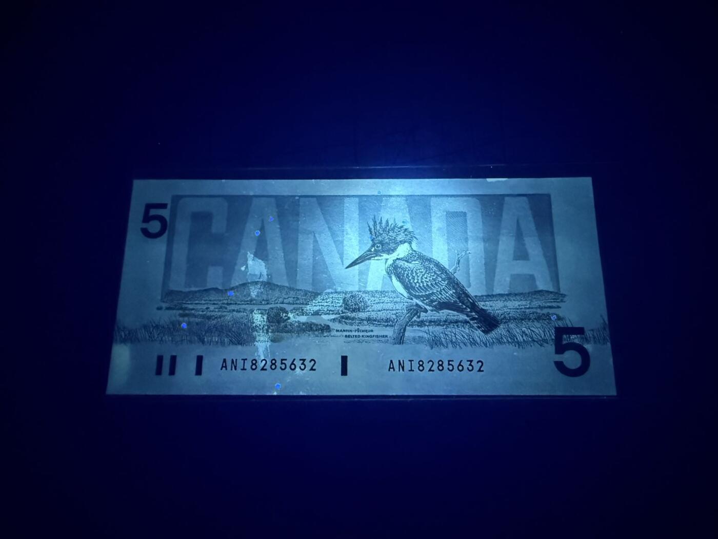 【炜奕收藏】，第五十二期 1986年加拿大5元，UNC-品相，有潮斑